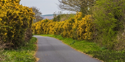 Comber Greenway