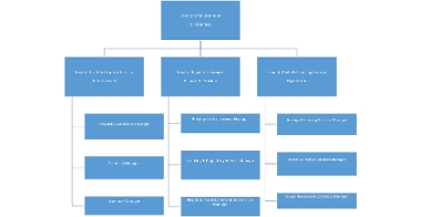 Environment Directorate Structure