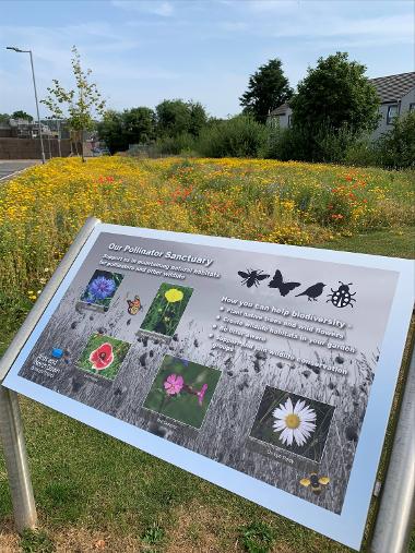 Pollinator Signage